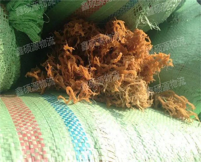 u=579024164,4002402261&fm=253&fmt=auto&app=138&f=JPEG(1)