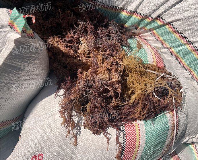 u=579024164,4002402261&fm=253&fmt=auto&app=138&f=JPEG(1)